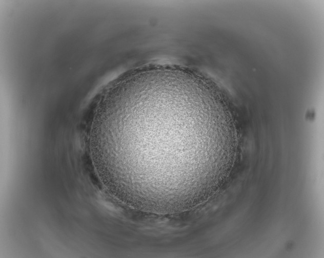 X0000093771207200710231305