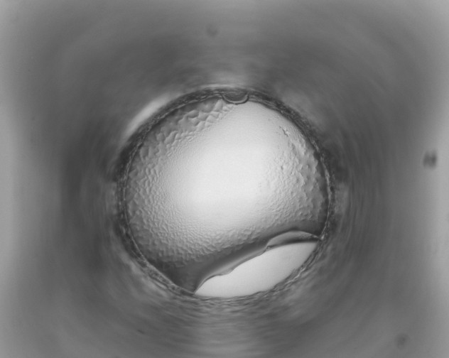 X0000093771208200710231305