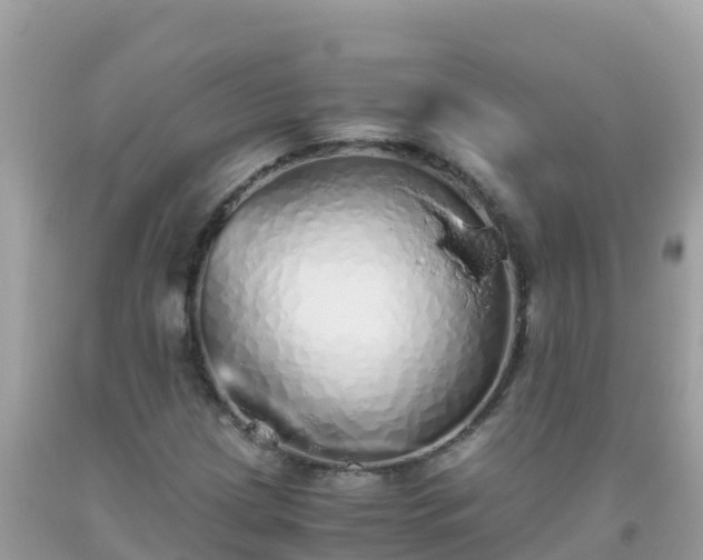 X0000093771209200710231305