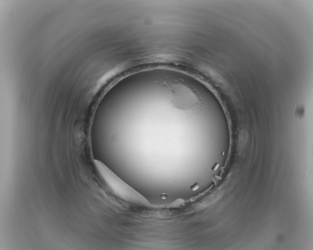 X0000093771210200710231306