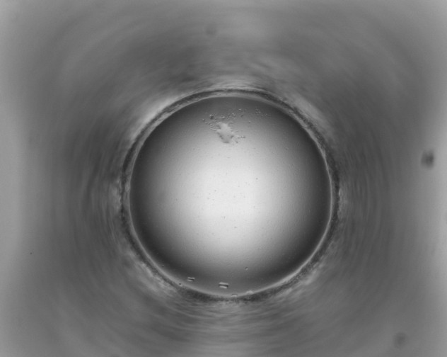 X0000093771212200710231306