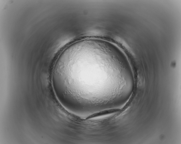 X0000093771213200710231306