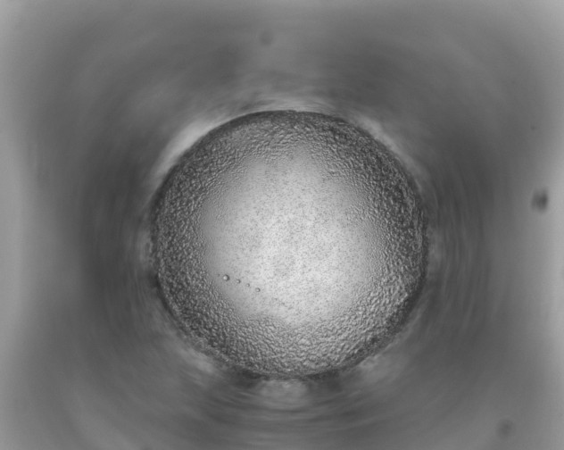 X0000093771215200710231306