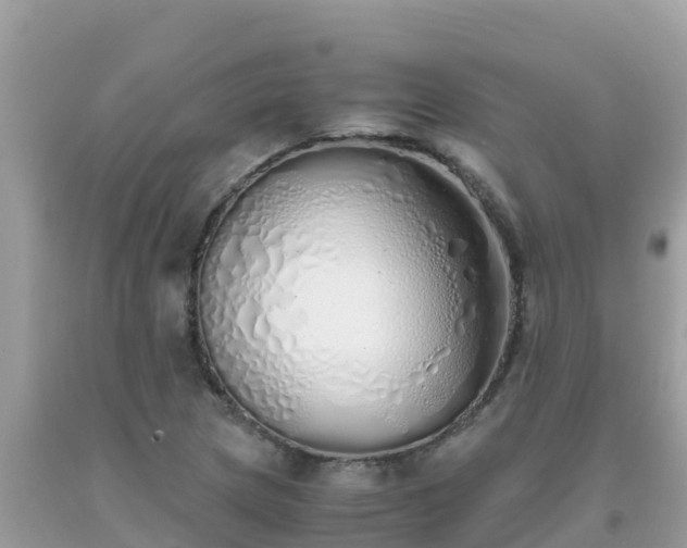 X0000093771217200710231306