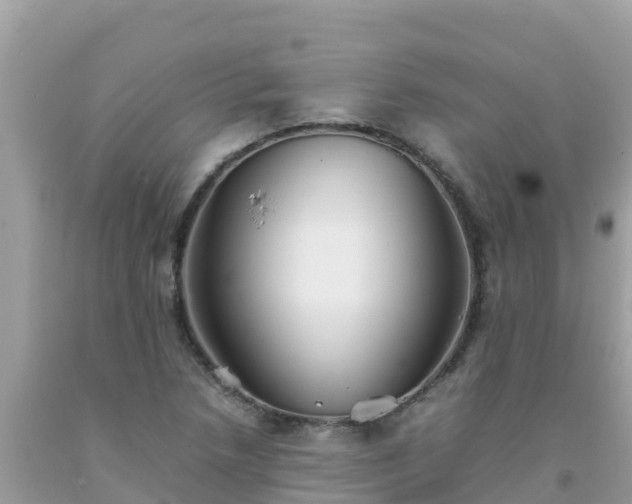 X0000093771218200710231306