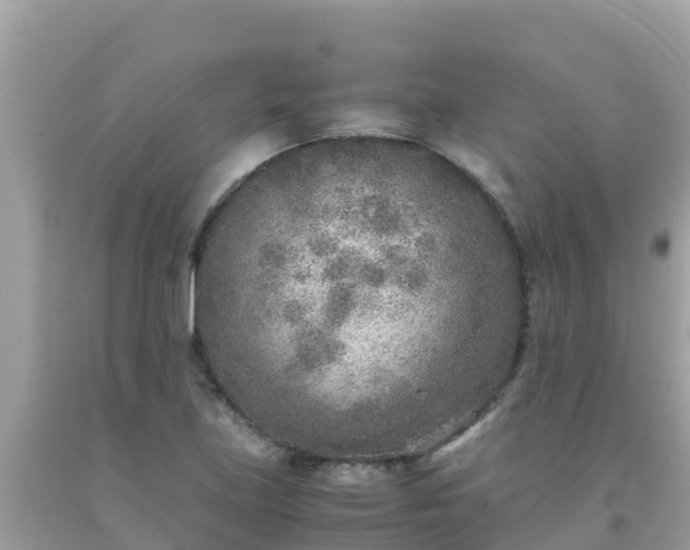 X0000093771219200710231306