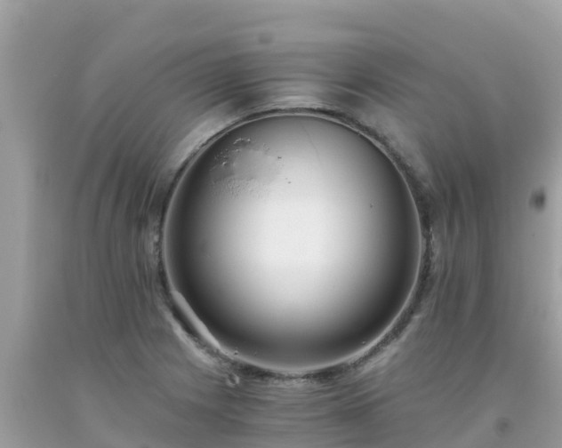 X0000093771225200710231306