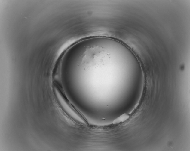 X0000093771230200710231306