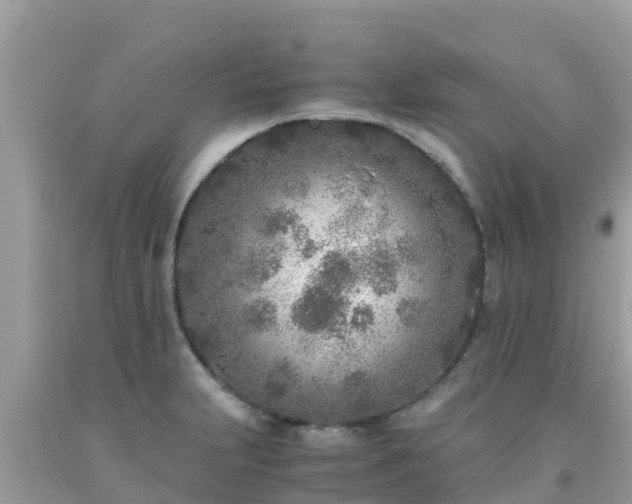 X0000093771231200710231306