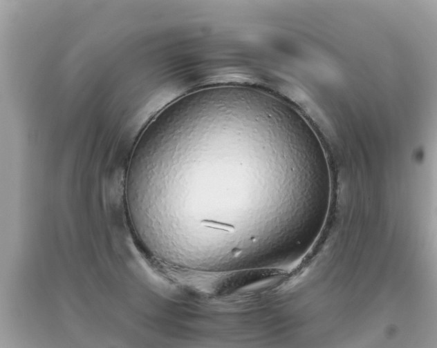 X0000093771233200710231306