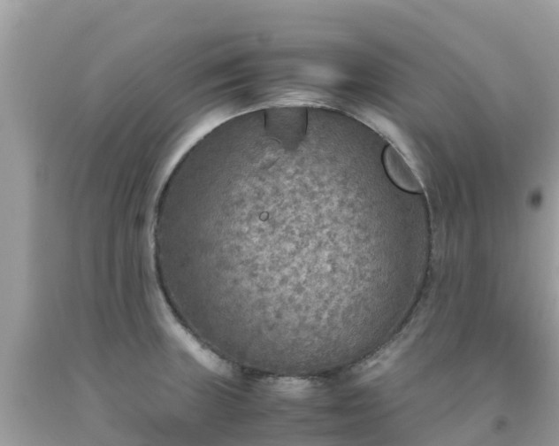 X0000093771235200710231306