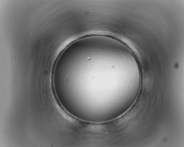 X0000093771237200710231306