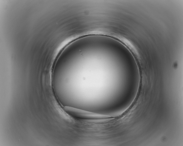 X0000093771238200710231306