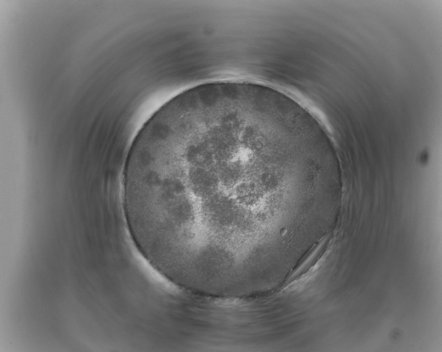 X0000093771239200710231306