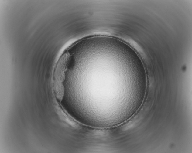 X0000093771240200710231306