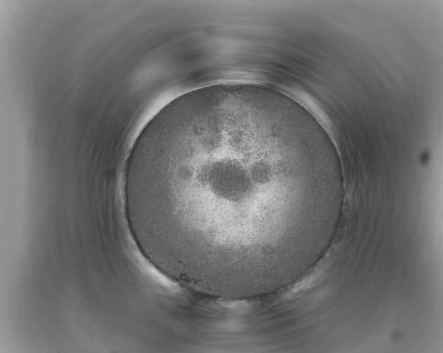 X0000093771243200710231306