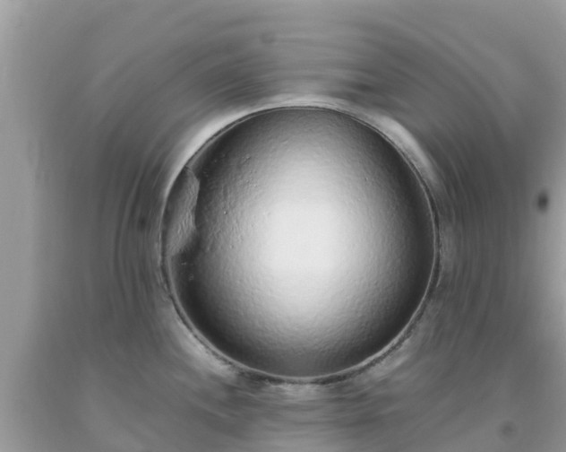 X0000093771244200710231306