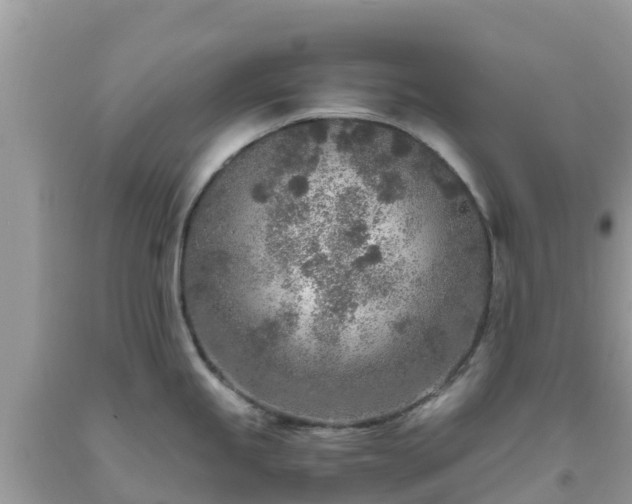 X0000093771245200710231306