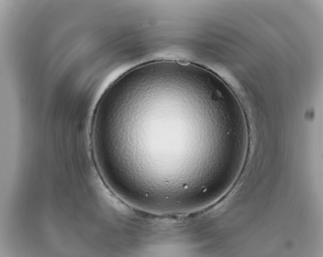 X0000093771248200710231306