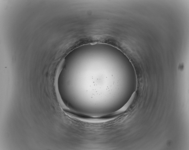 X0000093771249200710231305