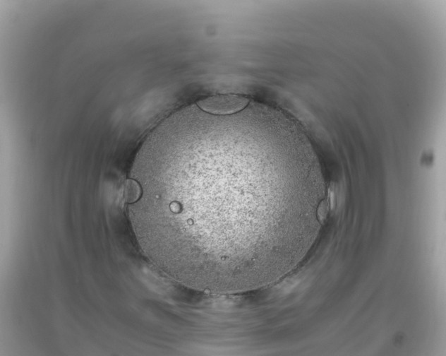 X0000093771251200710231305