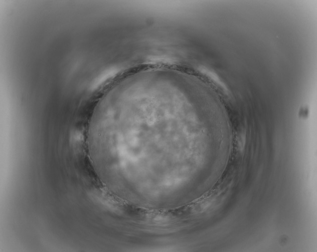 X0000093771254200710231305