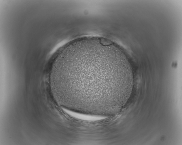 X0000093771255200710231305