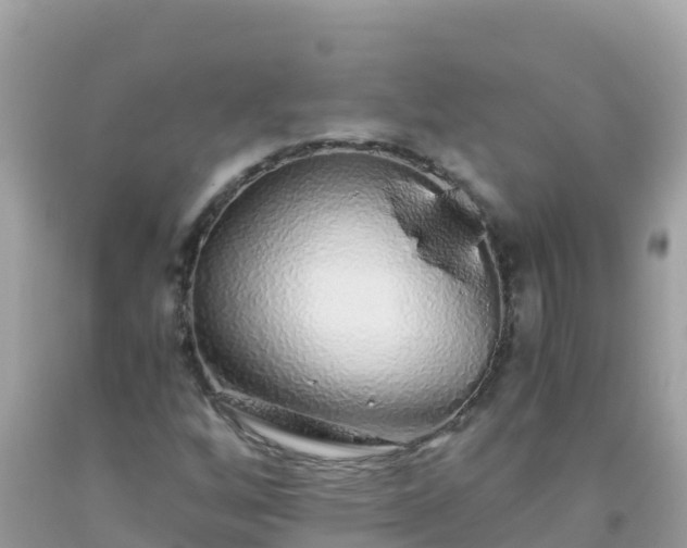 X0000093771256200710231305