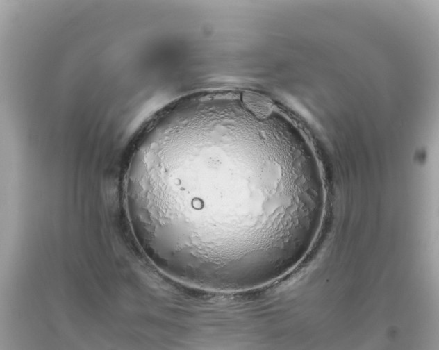 X0000093771259200710231305