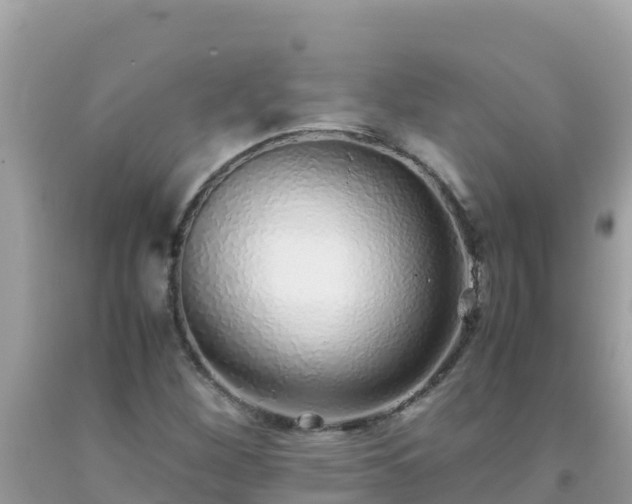 X0000093771260200710231305