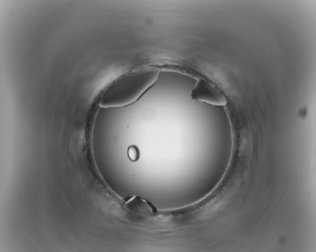 X0000093771261200710231305