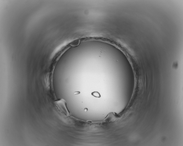 X0000093771262200710231305