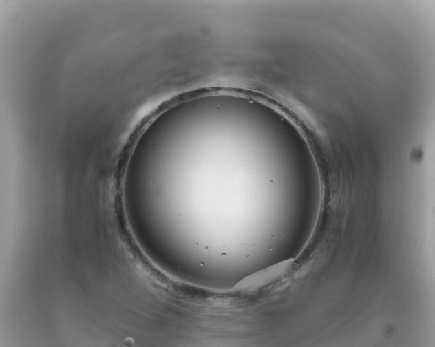 X0000093771264200710231305