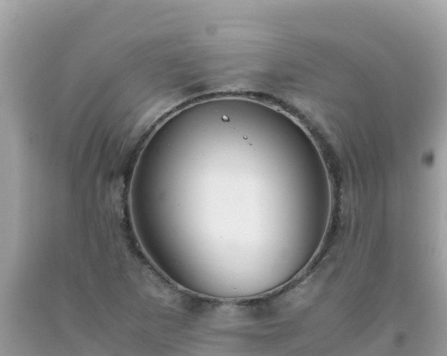 X0000093771265200710231305