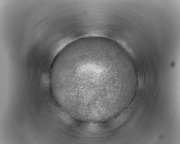 X0000093771266200710231305