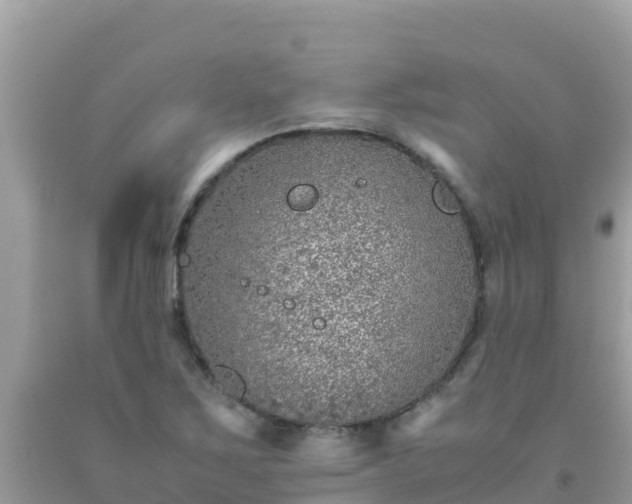 X0000093771267200710231305