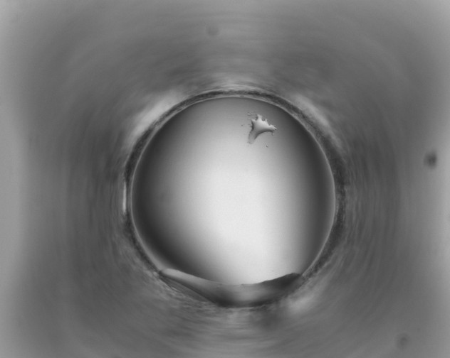 X0000093771269200710231305