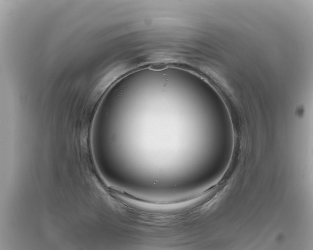 X0000093771273200710231305