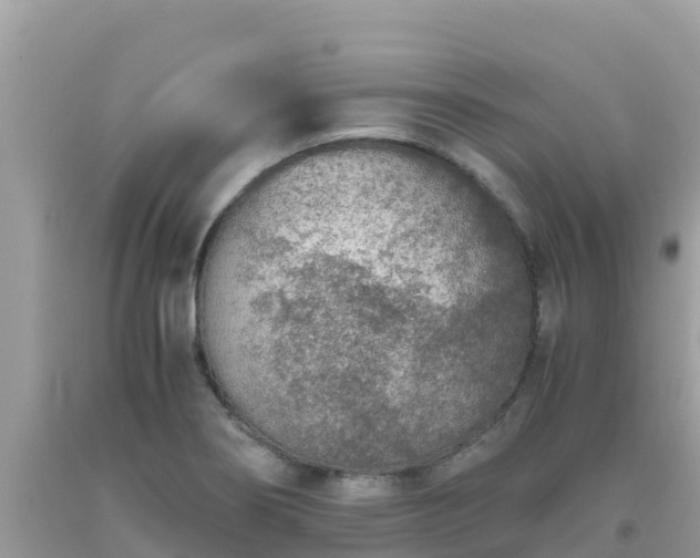 X0000093771274200710231305