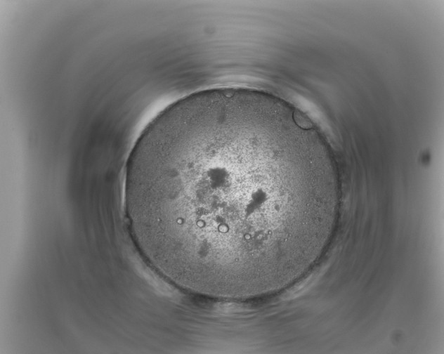 X0000093771275200710231305