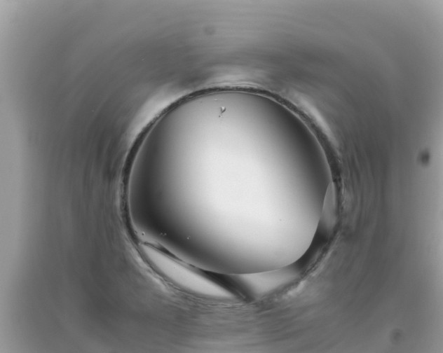 X0000093771277200710231305