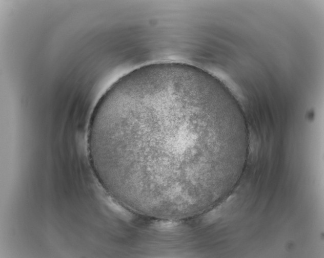 X0000093771278200710231305