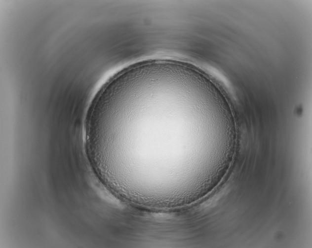 X0000093771280200710231305