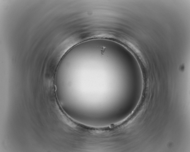 X0000093771281200710231305