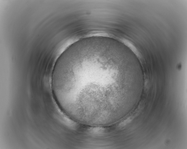 X0000093771282200710231305