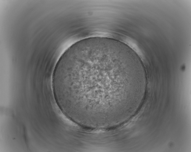 X0000093771283200710231305