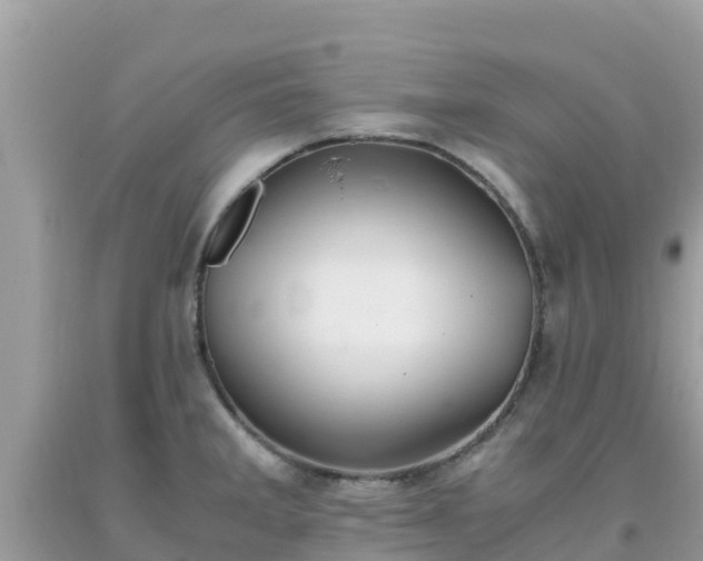 X0000093771285200710231305