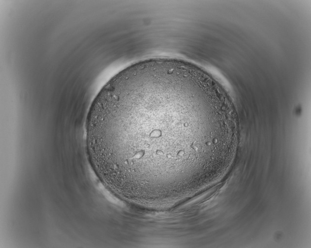 X0000093771287200710231305