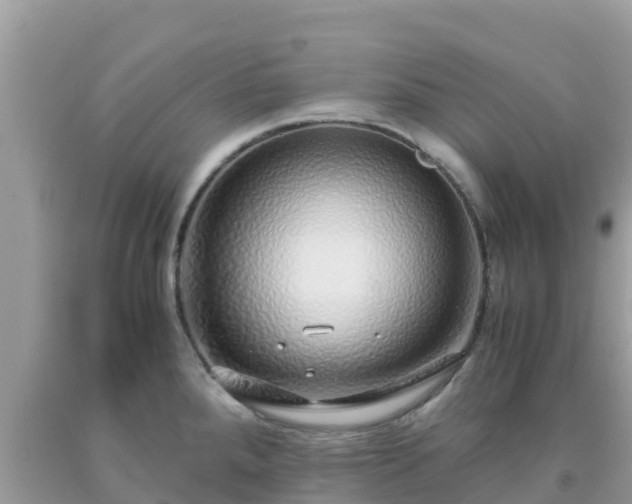 X0000093771288200710231305