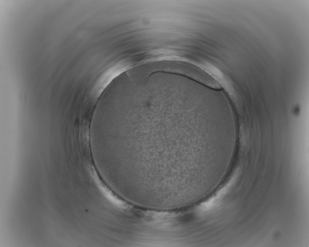 X0000093771289200710231305